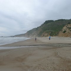 GirlsWildCat 053 : GirlsWildCat